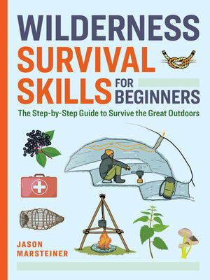 cover image of Wilderness Survival Skills for Beginners